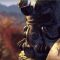Fallout 76 – Wild Appalachia gameplay trailer