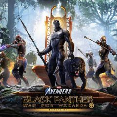 Black Panther: War for Wakanda